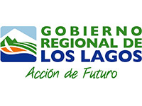 cliente-pcinbox-gobierno-regiona-los-lagos